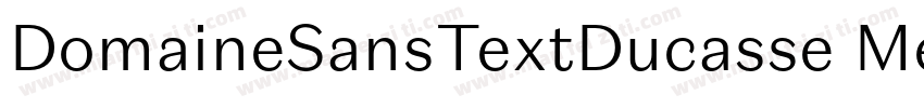 DomaineSansTextDucasse Medium字体转换